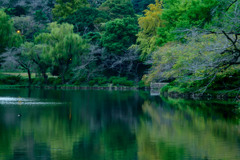 冬の使いの訪れ始め（Nikkor 千夜一夜物語 第三十夜　その４）