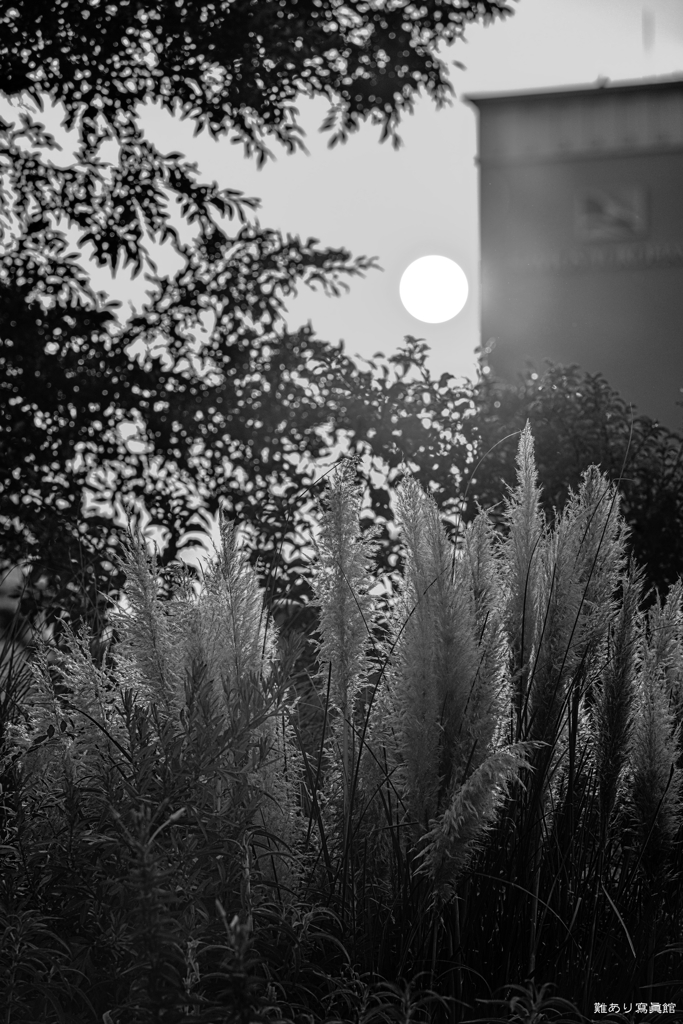 船乗りの館に夕陽が落ちる