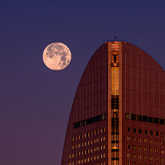 女神に寄り添ううさぎさん