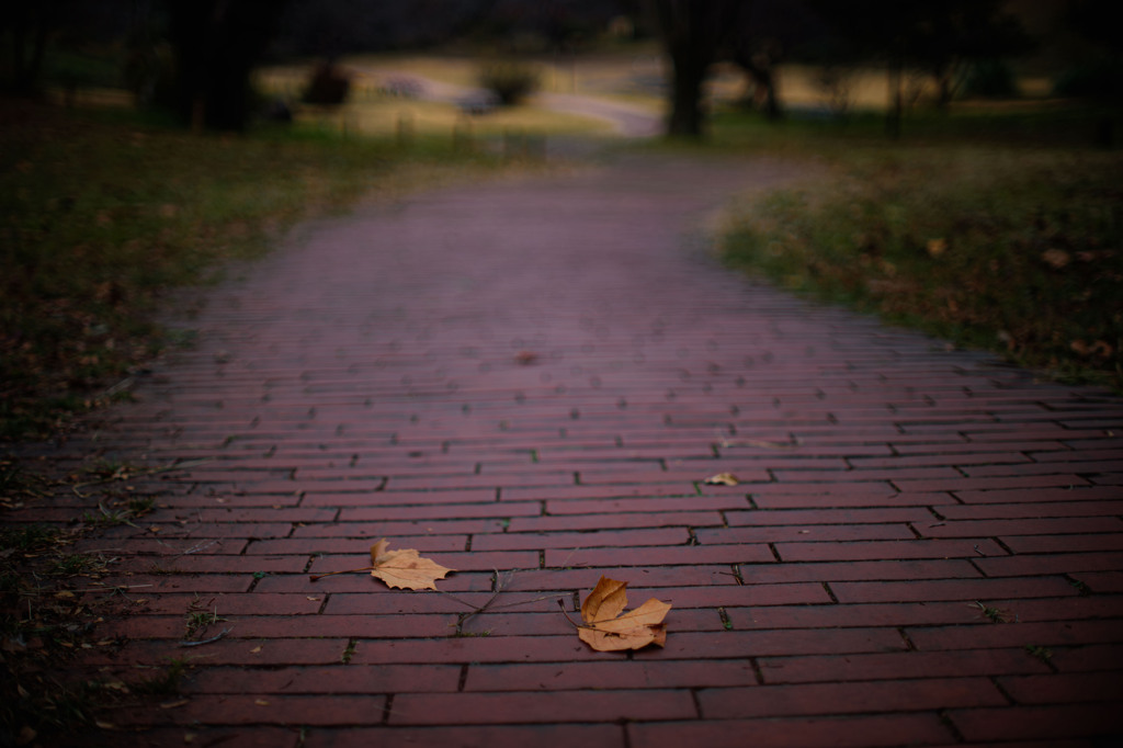 秋を偲ぶ道しるべ