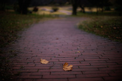 秋を偲ぶ道しるべ