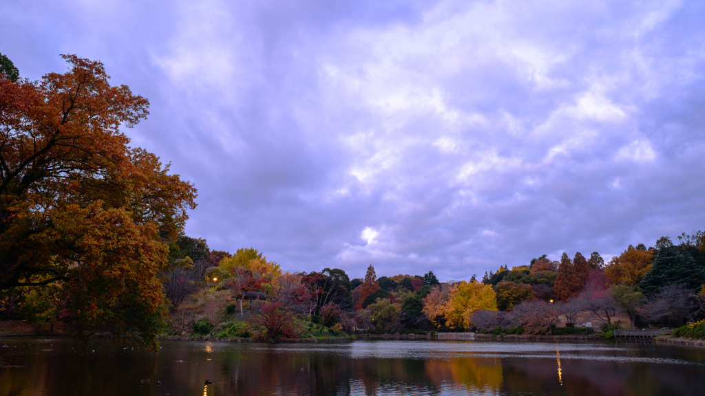 晩秋 曇天の夜明け　( Nikkor 千夜一夜物語 第八十六夜 その３）