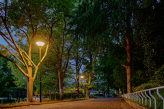 早朝散歩は夜明け前から ( Nikkor 千夜一夜物語 第二十四夜 その2) 早朝散歩は夜明け前から ( Nikkor 千夜一夜物語 第二十四夜 その2)