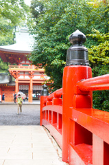 大宮氷川神社④