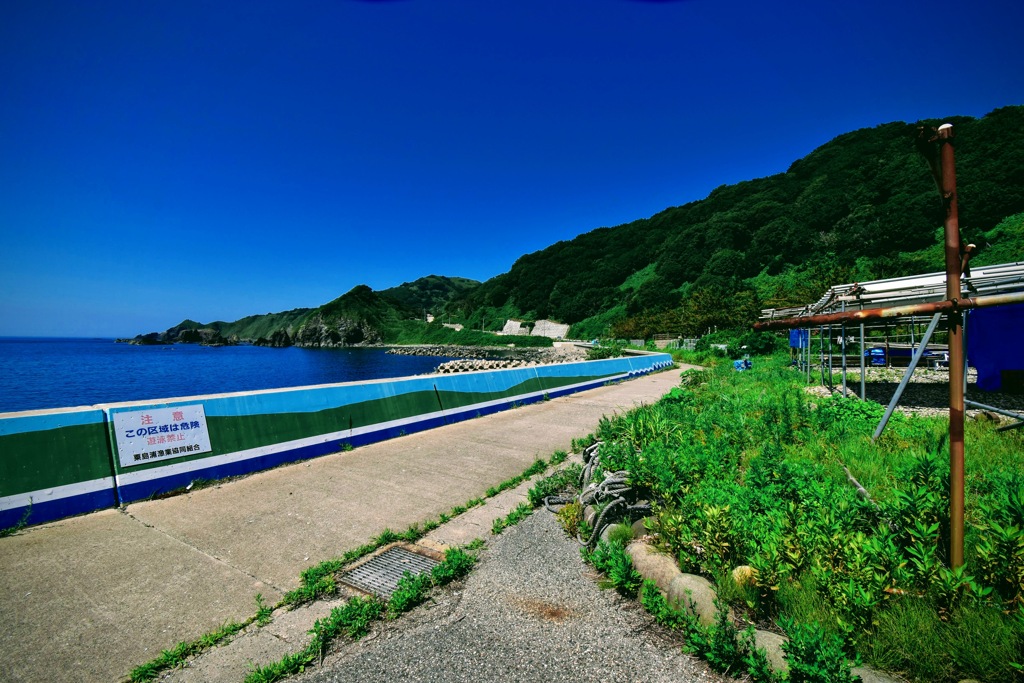 日本海の離島の夏