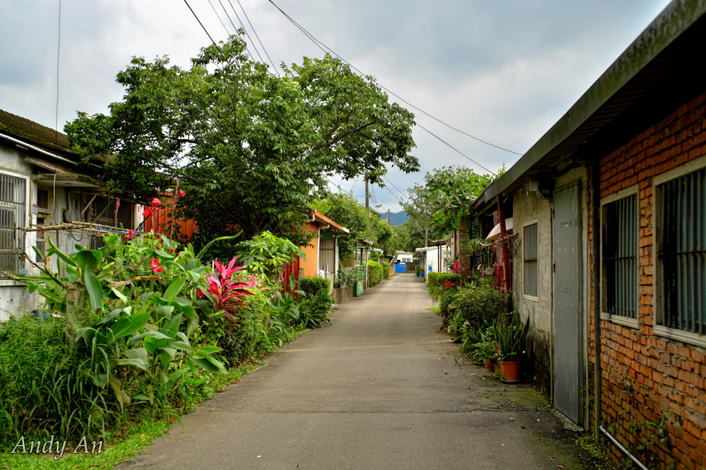 のどかな路地