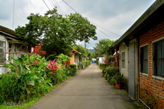 のどかな路地