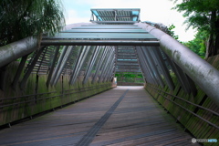 実は橋