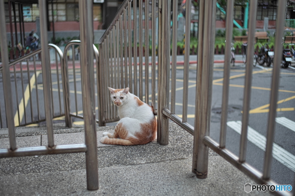 台北・和平西路路地裏散歩