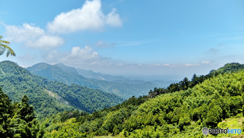 阿里山の風景