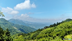 阿里山の風景