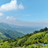 阿里山の風景