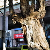 朝練03