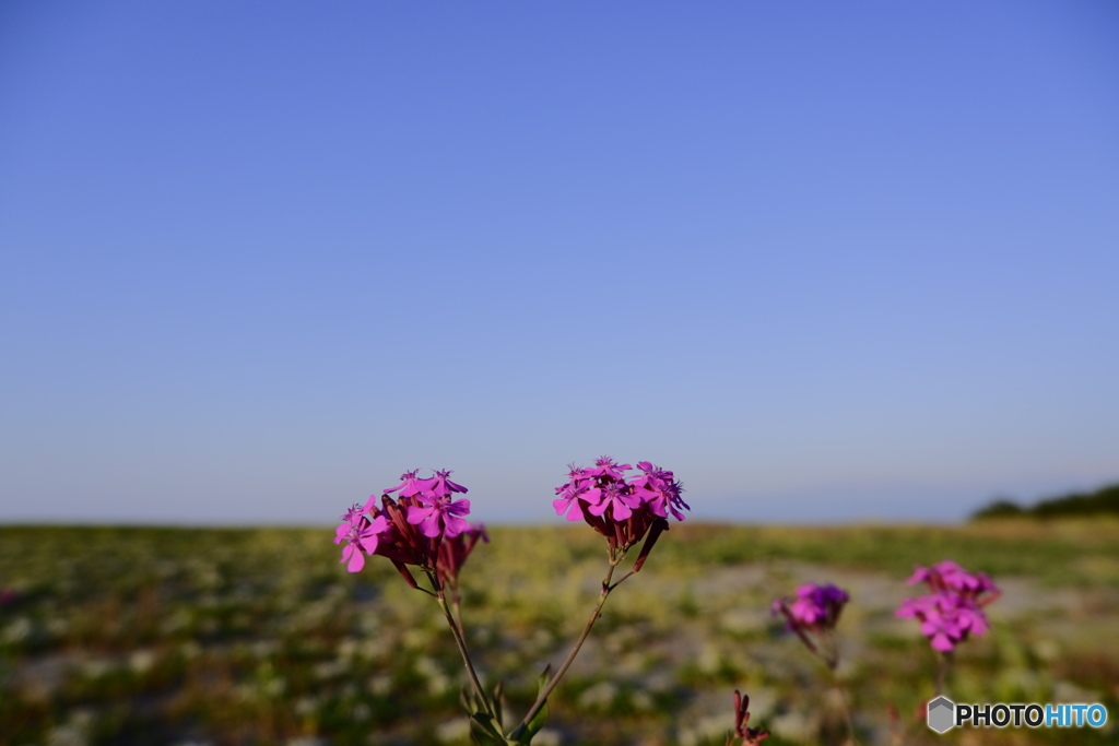 名も知らぬが01