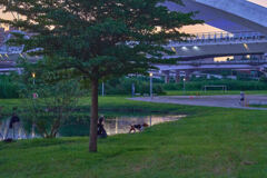 夕暮と池と犬と美女