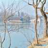 2005年冬中国南部の風景07
