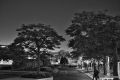 蔵出し：夜の公園散歩02