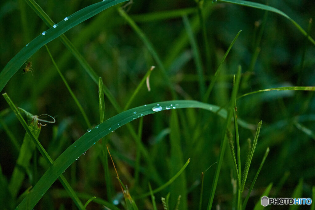 雨後の趣3