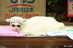 前に出したかもしれませんが…