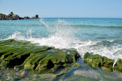 春の台湾北海岸