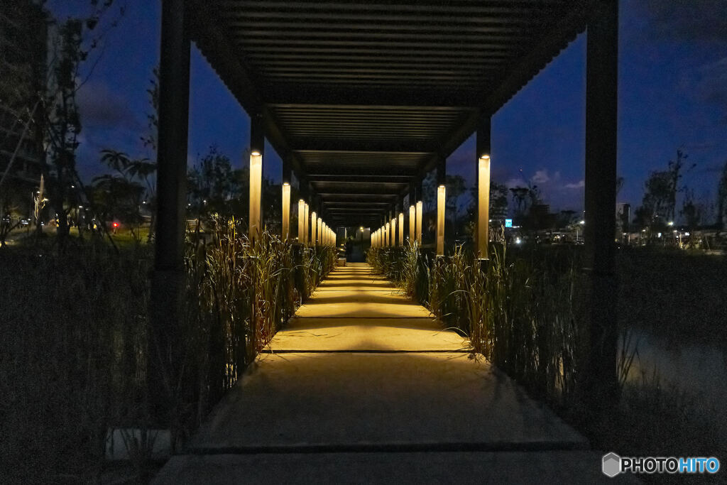 日の灯った公園の廊下