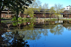 生態池