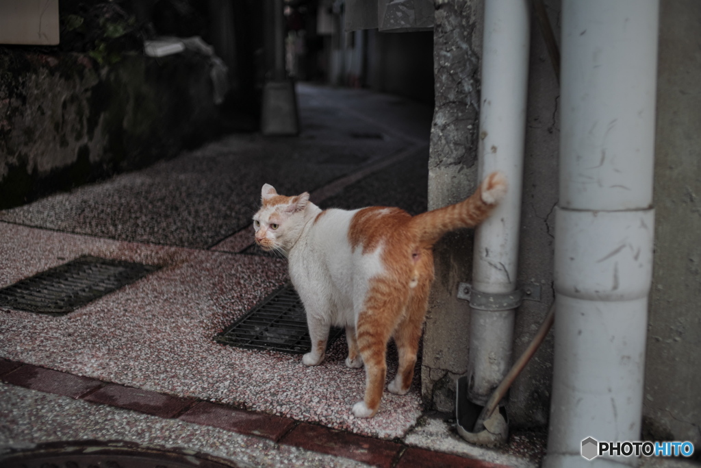 台北・和平西路路地裏散歩