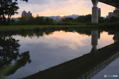 湿地の夕暮れ04