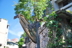 閑静な住宅地の傍にバナナが自生