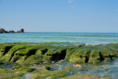 春の台湾北海岸