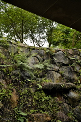 台北メトロ（MRT）‐大安森林公園駅