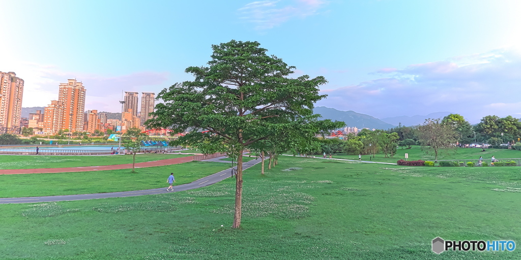 陽光公園4