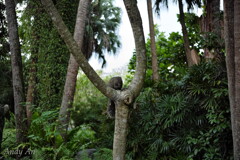 週末の植物園で植物は撮らない01