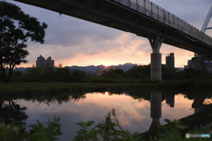 湿地の夕暮れ03