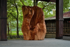 巨木アート