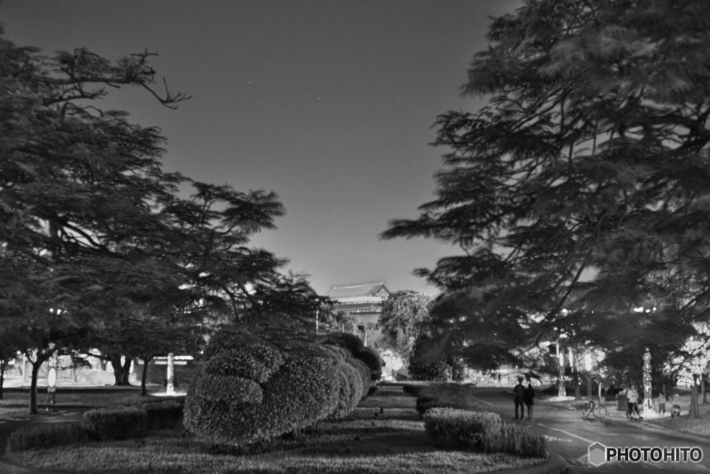 蔵出し：夜の公園散歩03