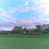 陽光公園3