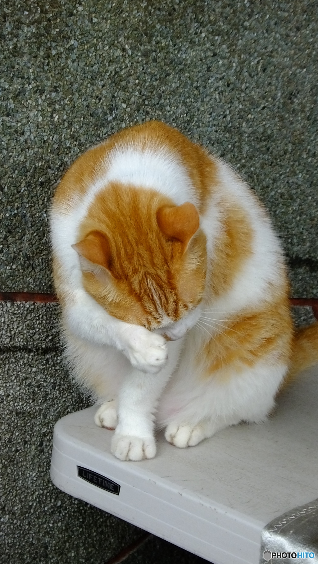 眠いの？