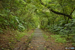 遊歩道