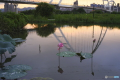 湿地の夕暮れ01
