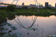 湿地の夕暮れ02