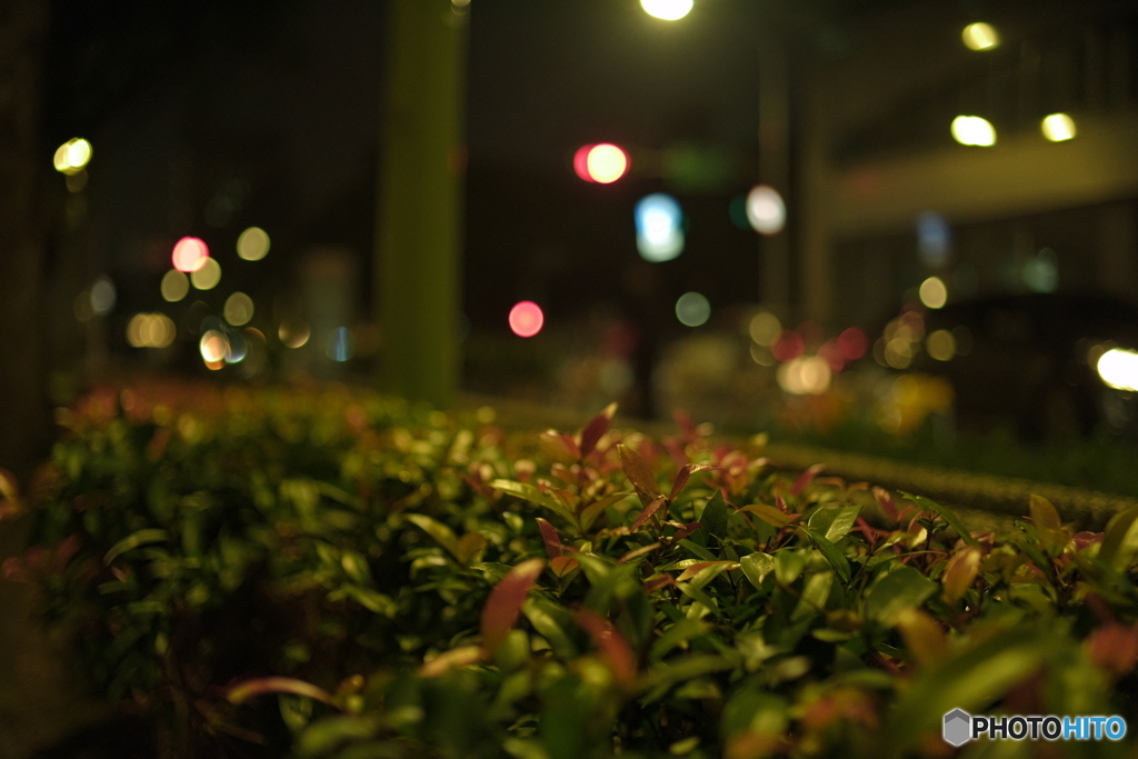 夜の公園‐LOVEボケ！03