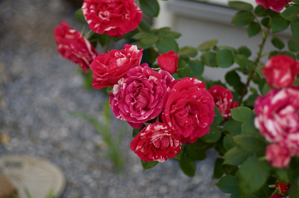 33A78678-7834-44D4-A36E-D9E0660BD287