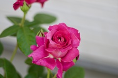 2F11D373-76D6-4E83-B9FD-8BA8ED61EF86