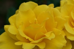 0FC8A611-28C6-4DB4-879D-697EC264804D