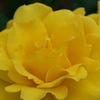 0FC8A611-28C6-4DB4-879D-697EC264804D