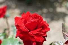 1A94BB46-1CF8-467D-BB09-0593C2D5B45C