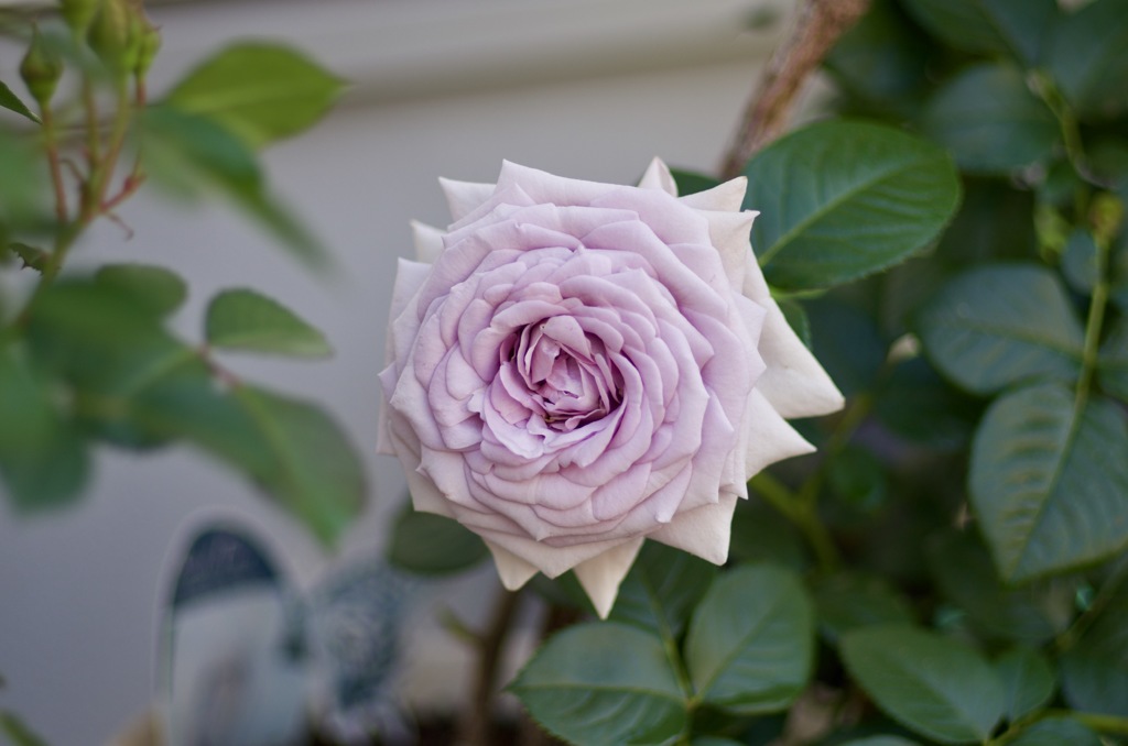 BAE2C7EF-76B7-4EE5-AA4F-F1DF600AA06D