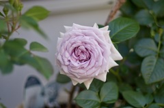 BAE2C7EF-76B7-4EE5-AA4F-F1DF600AA06D