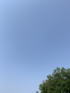 132ED434-FD6D-4037-9104-CA953BF09E44